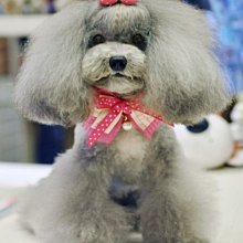 珍夢海 / 來台紀念經典全集 Jane Monheit / Portraits 歷史價格詳細信息