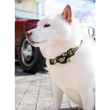 啾啾領結童襪【現貨】兒童襪/童襪/短襪/止滑襪/型號:799【FAV】 歷史價格詳細信息