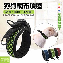 狗狗牽引繩夜間外出網紅遛狗繩小型犬戶外可自動伸縮可調節栓狗繩 歷史價格詳細信息