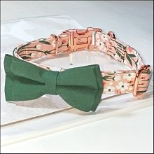 棉布印花佩斯利6cm碎花 窄版時尚男士領帶（滿599元免運） 歷史價格詳細信息