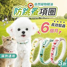 180天激黑深亮Plus(精萃露30mlx2支/盒x6+加碼送精萃露30mlx2支/盒x1) 歷史價格詳細信息