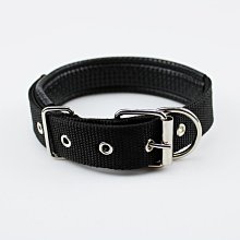 狗狗項圈便攜狗圈中小型犬脖圈防掙脫牽引繩貓咪幼犬遛貓遛狗繩子 歷史價格詳細信息