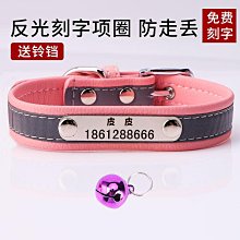 貓咪項圈貓牌刻字小狗狗鈴鐺項鏈脖子飾品幼貓寵物脖飾脖圈防丟失 歷史價格詳細信息