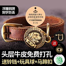 拉布拉多專用狗狗繩子防爆沖P鏈遛狗牽引繩防掙脫狗鏈子中大型犬 歷史價格詳細信息