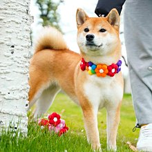 可愛花朵柴犬刺繡貼書包ipad帽子diy裝飾貼企鵝衣服補丁貼自粘貼【心願便利店】 歷史價格詳細信息