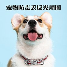 大型犬狗狗項圈狗圈頸圈脖圈中型犬金毛德牧馬犬小型犬脖套頭套超夯 精品 歷史價格詳細信息