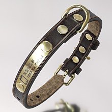 狗狗刻字項圈防走失頸圈脖圈小泰迪牽引繩小中大型犬伸縮狗繩狗圈 歷史價格詳細信息