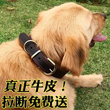 大型犬狗狗項圈狗圈頸圈脖圈中型犬金毛德牧馬犬小型犬脖套頭套超夯 精品 歷史價格詳細信息