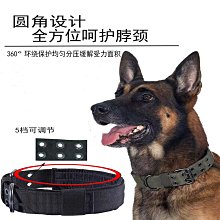 狗狗項圈狗脖圈中大型犬金毛柯基寵物狗圈頸圈脖圈狗頭套項鏈用品 歷史價格詳細信息