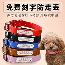 貓咪項圈貓牌刻字小狗狗鈴鐺項鏈脖子飾品幼貓寵物脖飾脖圈防丟失 歷史價格詳細信息
