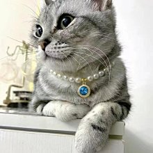 聽力保健室：專業聽力師教你打造優質「聽」生活！/曾雪靜,黃銘緯【城邦讀書花園】 歷史價格詳細信息