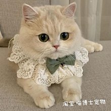 寵物項圈狗狗貓咪圍脖用品可調節外出戶外牽引繩子中小大型犬通用 歷史價格詳細信息