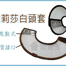 ☆寵愛家☆寵物牽引繩-P字型牽繩-訓練用P字鍊-12mm(無需狗項圈) . 歷史價格詳細信息