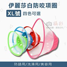 幸運草 頭號甜心 純金腳鍊 歷史價格詳細信息