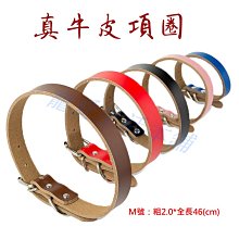 附發票！【寵愛生活本舖】-9號~11號賣場-寵物中筒拉鍊式縮口休閒犬鞋 不掉 狗鞋 大狗鞋 小狗鞋 寵物鞋 歷史價格詳細信息