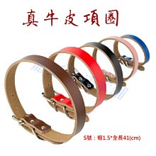 附發票！【寵愛生活本舖】-9號~11號賣場-寵物中筒拉鍊式縮口休閒犬鞋 不掉 狗鞋 大狗鞋 小狗鞋 寵物鞋 歷史價格詳細信息