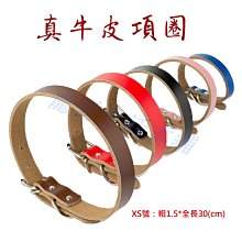 附發票！【寵愛生活本舖】-9號~11號賣場-寵物中筒拉鍊式縮口休閒犬鞋 不掉 狗鞋 大狗鞋 小狗鞋 寵物鞋 歷史價格詳細信息