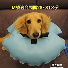 下殺 項圈寵物牌狗牌身份牌純銅定制刻字狗狗貓牌貓咪日本項圈防丟定做用品 歷史價格詳細信息