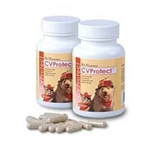 ☃呣呣☃寵特寶 CVSupport 健心(中型犬)(大型犬用)60粒裝~ 歷史價格詳細信息