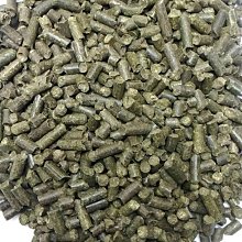 鼠兔專用 低升醣餅乾 Bunny邦尼 鼠兔零食 鼠兔餅乾 控制血糖 歷史價格詳細信息