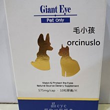 ♣毛小孩♣全新寵物美容DIY《寵物用Lovablepet牙刷組》自己在家天天幫寵物刷牙才有效喔 歷史價格詳細信息