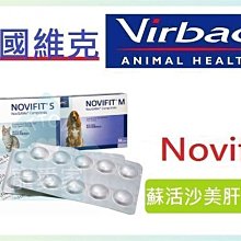 ☆HT☆4.5吋乳色打結皮骨六支入-分裝包 歷史價格詳細信息