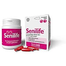 *☆╮艾咪寵物精品╭☆*【老犬適用】法國皇家狗飼料《SGR26+8 大型熟齡犬15kg》 歷史價格詳細信息