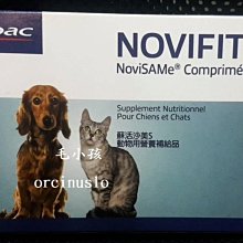 ♣毛小孩♣全新寵物專用【健聖潔牙粉 】50G(幫助保持寵物口腔清潔) 歷史價格詳細信息