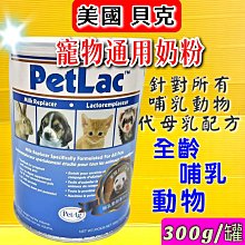 袋鼠兔毛貝雷帽2020年新款百搭秋冬季毛絨英倫復古大頭帽子  露天市集  全台最大的網路購物市集 歷史價格詳細信息