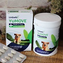 *☆╮艾咪寵物精品╭☆*公司貨附發票A Star Bones 多效雙刷頭潔牙骨超大筒桶裝 歷史價格詳細信息