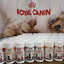 優惠實施中 輕食華夫鬆餅機 三明治機 內附三明治烤盤 多功能鍋甜甜圈家用 輕食華夫餅機 歷史價格詳細信息