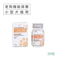 現代百益康【漾寶】10KG小型犬用 老狗專用元氣生活 歷史價格詳細信息