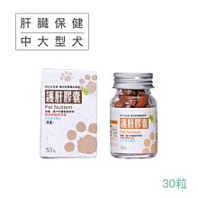 現代肝膽病學 段鐘平 9787030788948 【台灣高等教育出版社】 歷史價格詳細信息