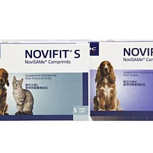 老年營養與膳食指導 李曉彬.任豔萍 編 2020-6 西南交通大學出版社 歷史價格詳細信息