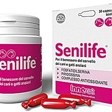 法國Senilife腦力活老犬腦部營養補充劑/30粒(膠囊)新包裝 歷史價格詳細信息