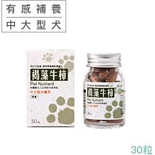 現代百益康【褐藻牛樟】小型犬貓用．癌症寵物補養必備 歷史價格詳細信息