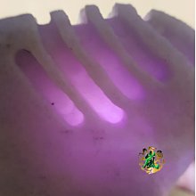 春彩色濃郁 淨瓶觀音 歷史價格詳細信息