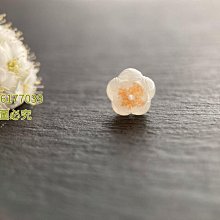 翡翠特色小方塊14302 歷史價格詳細信息