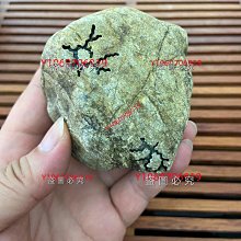 帶肉標原版西太后彩鋯貝殼愛心項鍊耳環小眾輕奢款套裝（滿599免運） 歷史價格詳細信息