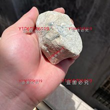 那種可能性我早就想到了│尖端│井上真偽 │無劃記、無破損 歷史價格詳細信息