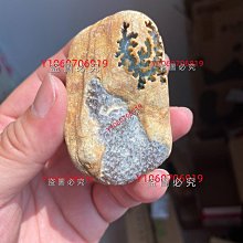 緬甸原裝塔 佛陀希有舍利子 歷史價格詳細信息