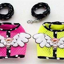 精品寵物氣墊軟針梳泰迪拉毛開結爆毛順毛梳毛貓專用去浮毛梳子小白梳 歷史價格詳細信息