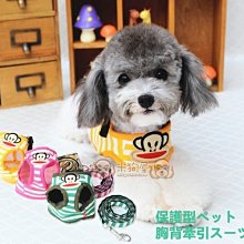 【米狗屋】cheer三層蕾絲網綁帶生理褲-白底˙XS、S、M、L、XL號˙中型可 歷史價格詳細信息