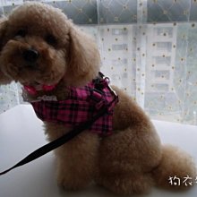 桃紅格子綁帶棉紗連身洋裝 中長裙 連身裙 連身裙 洋裝 女童 兒童 童裝［p0061255393926］ 歷史價格詳細信息