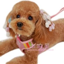 狗繩2米栓狗狗牽引繩遛狗繩泰迪大型中型小型犬寵物狗鏈子背心式 歷史價格詳細信息