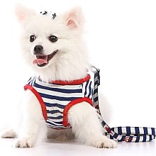 狗繩2米栓狗狗牽引繩遛狗繩泰迪大型中型小型犬寵物狗鏈子背心式 歷史價格詳細信息