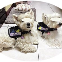 寵物反光鯊魚救生衣 寵物衣服 寵物服飾 狗狗衣服 寵物用品 泳衣【培菓寵物】 歷史價格詳細信息