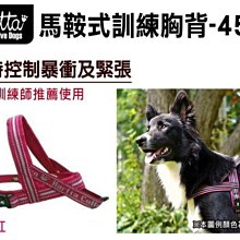 SNOW的家【訂購】寵物物語 Junbai 防滑自動退毛針梳 L號 (80321963 歷史價格詳細信息