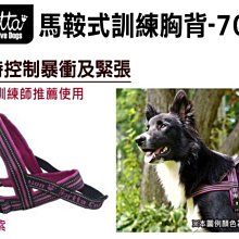 SNOW的家【訂購】寵物物語 Junbai 防滑自動退毛針梳 L號 (80321963 歷史價格詳細信息