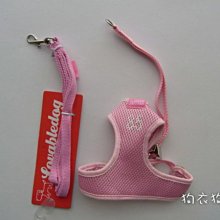 狗衣狗服│日本pipi可愛小熊條紋生理褲-黃色 歷史價格詳細信息